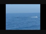 MVI_0093