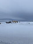C2324316-5402-48F1-9AB4-25F16A9B0ADF