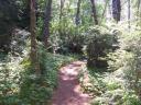 The trail to the barn