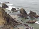 Rocks in the ocean