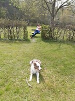 Tom houdt de wacht over de wachtende Buddy
