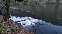 Reflecterende natuur