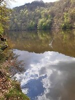 Reflectie