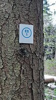Es 1, wandelroute langs de Belvedere