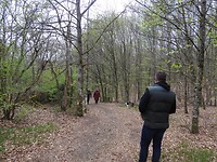 Hoger de heuvel op