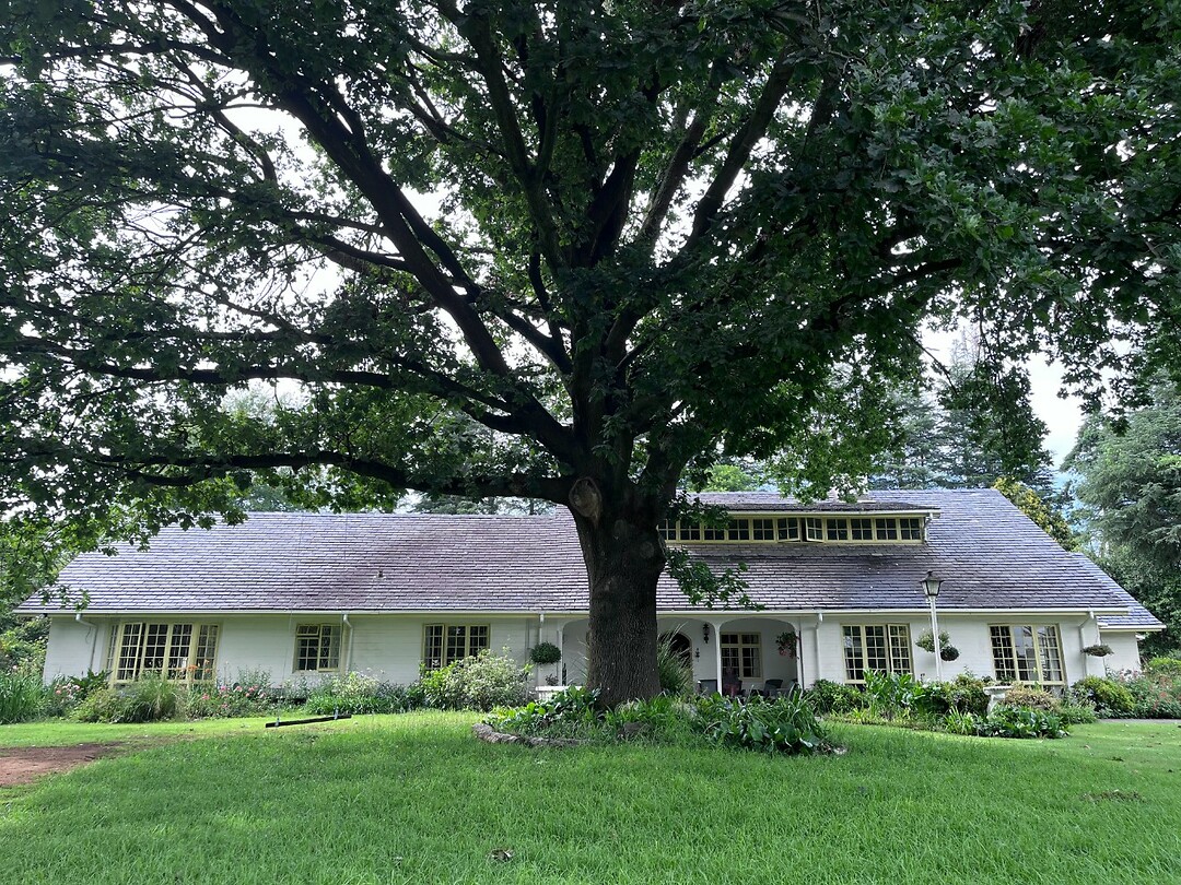 Cedar Garden
