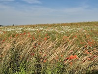 Een mooi stukje Mon