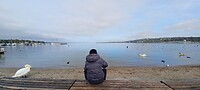 Geneve, Abed en zijn gevogelte