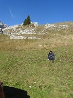 Berggeit