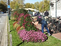Stientjemomentje