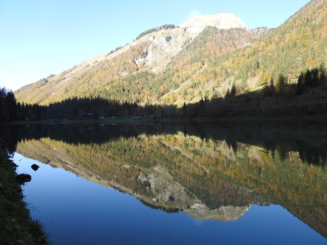 Reflections 1