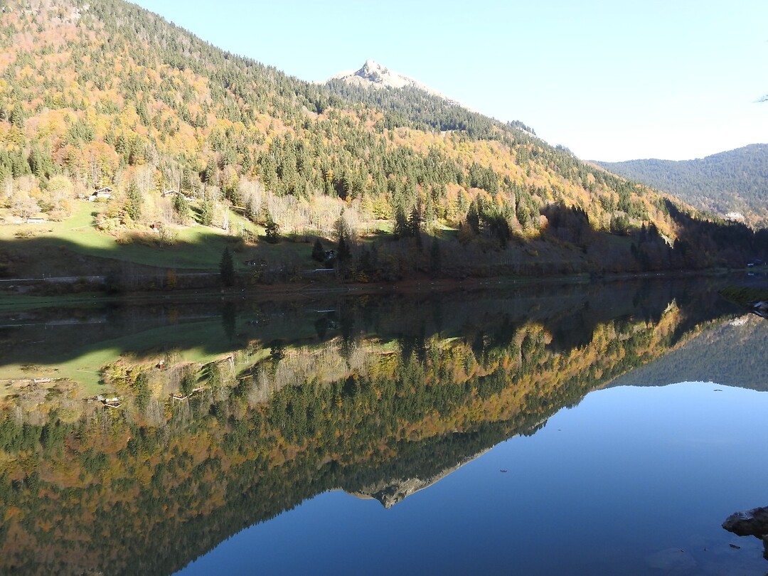 Reflections 2