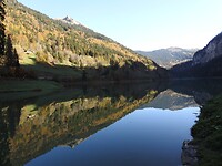 Reflections 3
