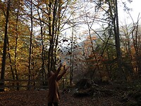 Having fun with leaves