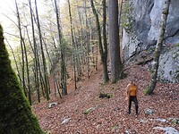 Herfst in de kloof
