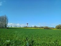 Grote gele koolzaadvelden onderweg