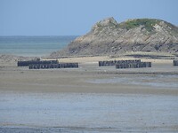 Wat dit toch is?