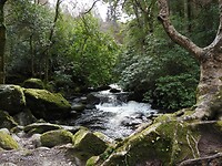 Aankomst in Killarney National Park