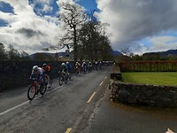 Het peloton