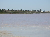 In het echt is het meer roze dan op deze foto