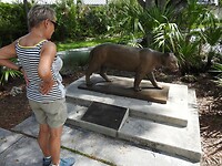 Ja Marion, die Florida Panter kunnen we ook tegenkomen