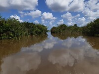 Ondanks het bruine water toch een flinke reflectie