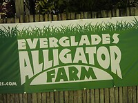 We zijn hier niet voor de alligators