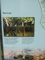 West Lake, brak water