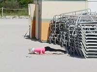 Pushups incognito
