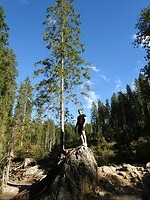 Living on a rock