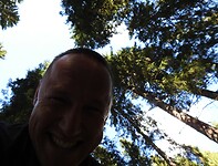 Oef, wat zijn die bomen hoog!