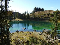 Vijftig tinten groen