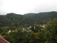 Dichtbij de bossen