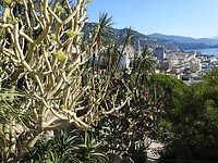 Monaco prikkelt