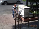 scharensliep met een systeem op een gewone fiets, gezeten!