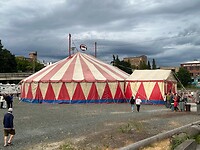 The circus!