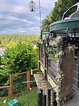 The beautiful lichens (korstmossen in Dutch) on the balcony