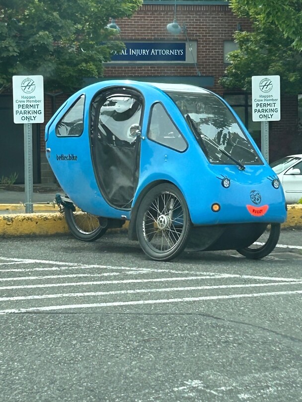 The Electric supported tricycle