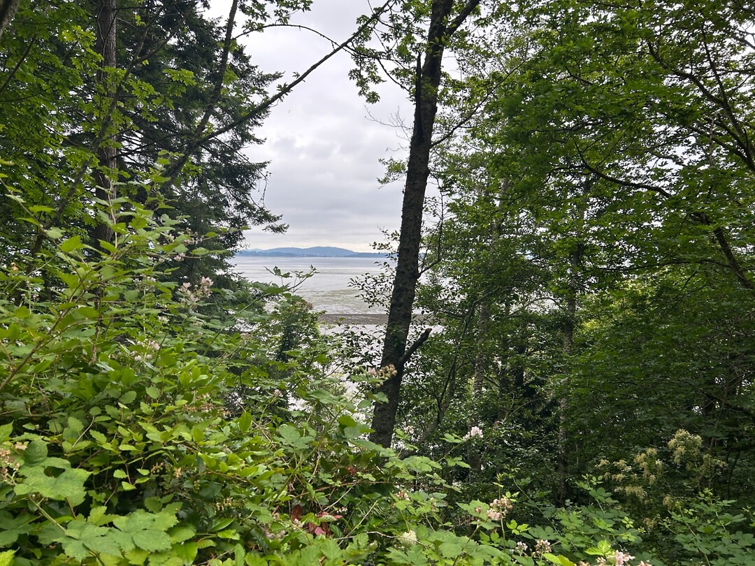 Beautiful view to the bay from the Chuckanut drive