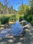 the nice rough "road" towards Vancouver