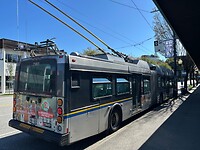 Trolly busses with bicycke racks on the front grill