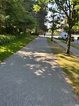 Smooth bicycle paths in the shade going outwards of Vancouver