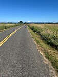 Carfree roads with Alex in the lead on his recumbent