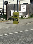 Vince Open; my son in law having a secret shop...