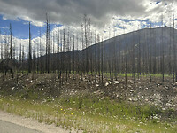 Desolate area all around