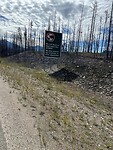 Along the way all burned trees as far as the eye can see