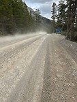 Dusty forest roads