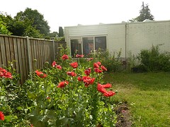 Zo troffen we bij aankomst onze tuin aan