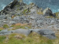 P1010356