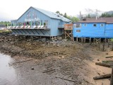 img_4704-resized-640